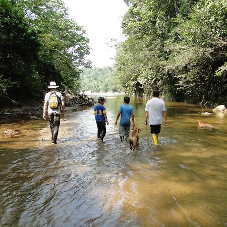 Grand Selva Lodge & Tours Tena Εξωτερικό φωτογραφία