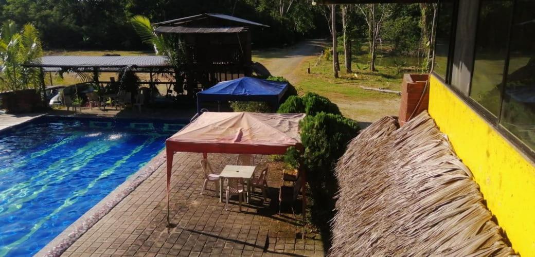 Grand Selva Lodge & Tours Tena Εξωτερικό φωτογραφία