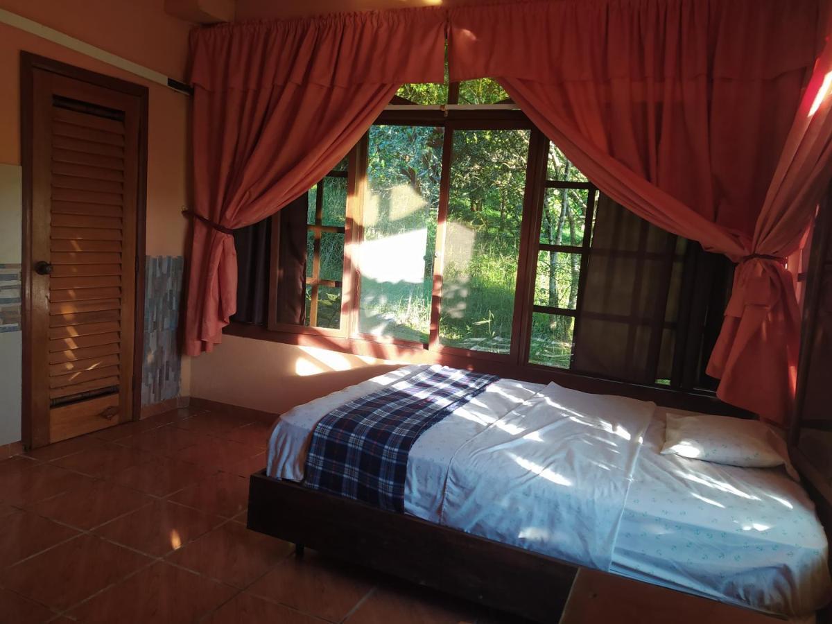Grand Selva Lodge & Tours Tena Εξωτερικό φωτογραφία