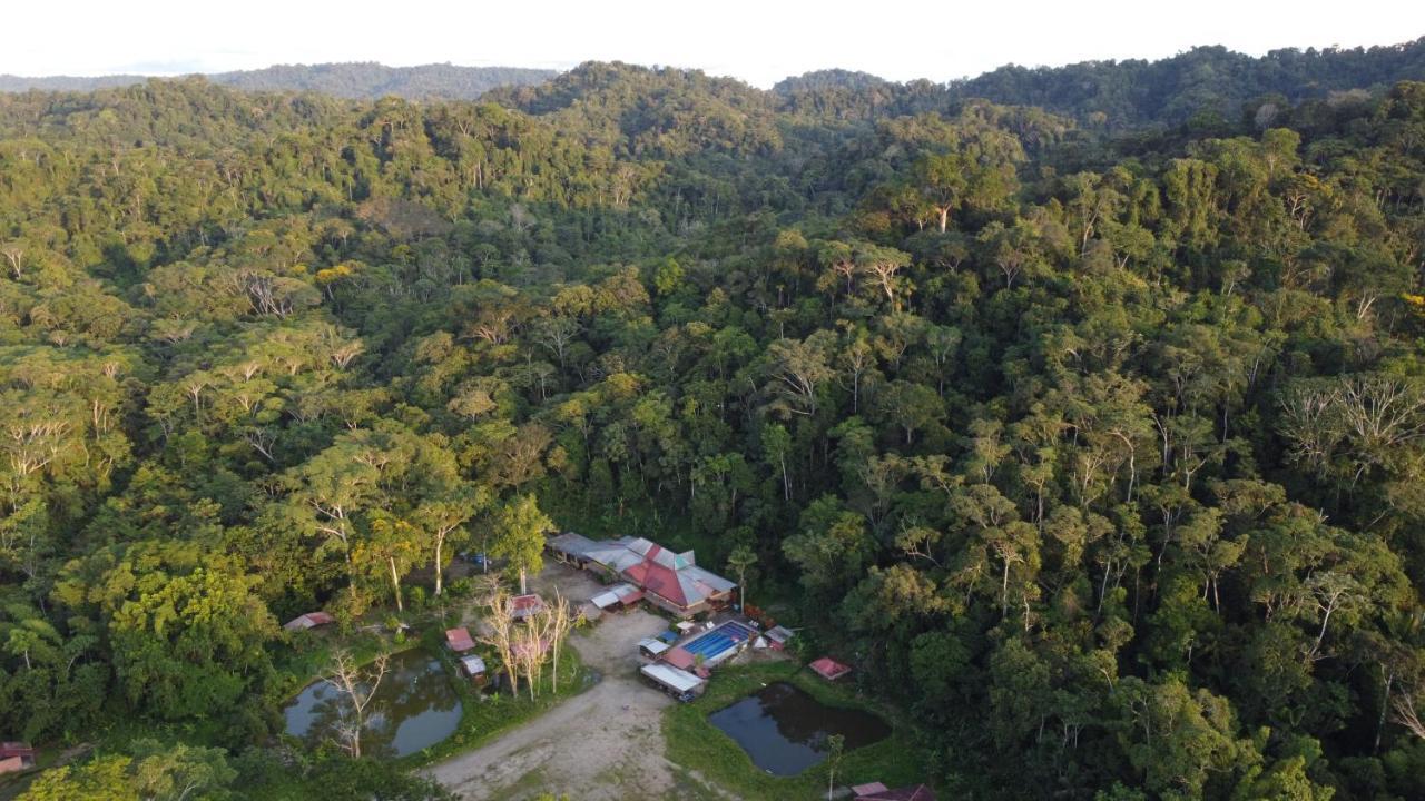 Grand Selva Lodge & Tours Tena Εξωτερικό φωτογραφία